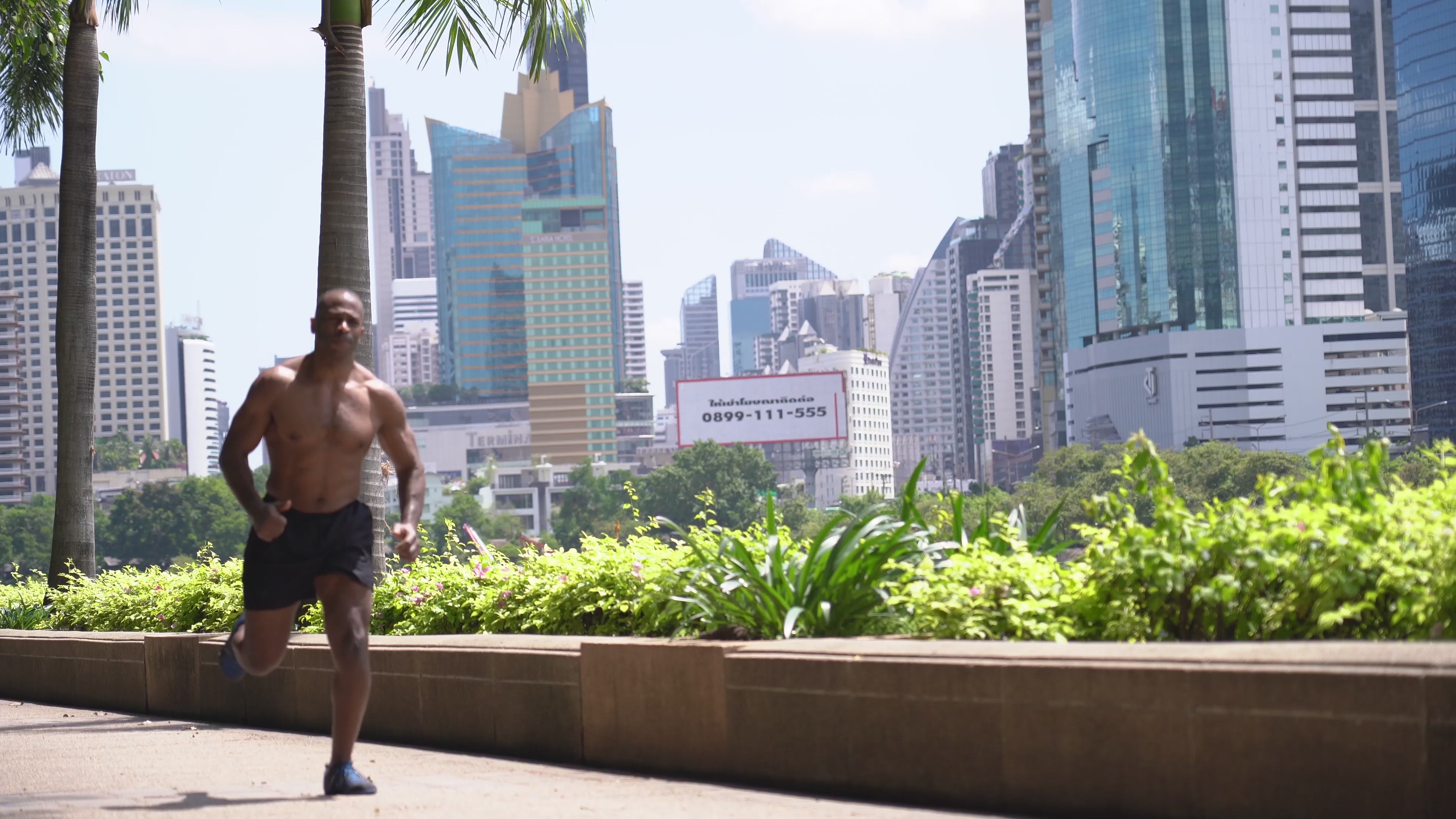 Charger la vidéo : 