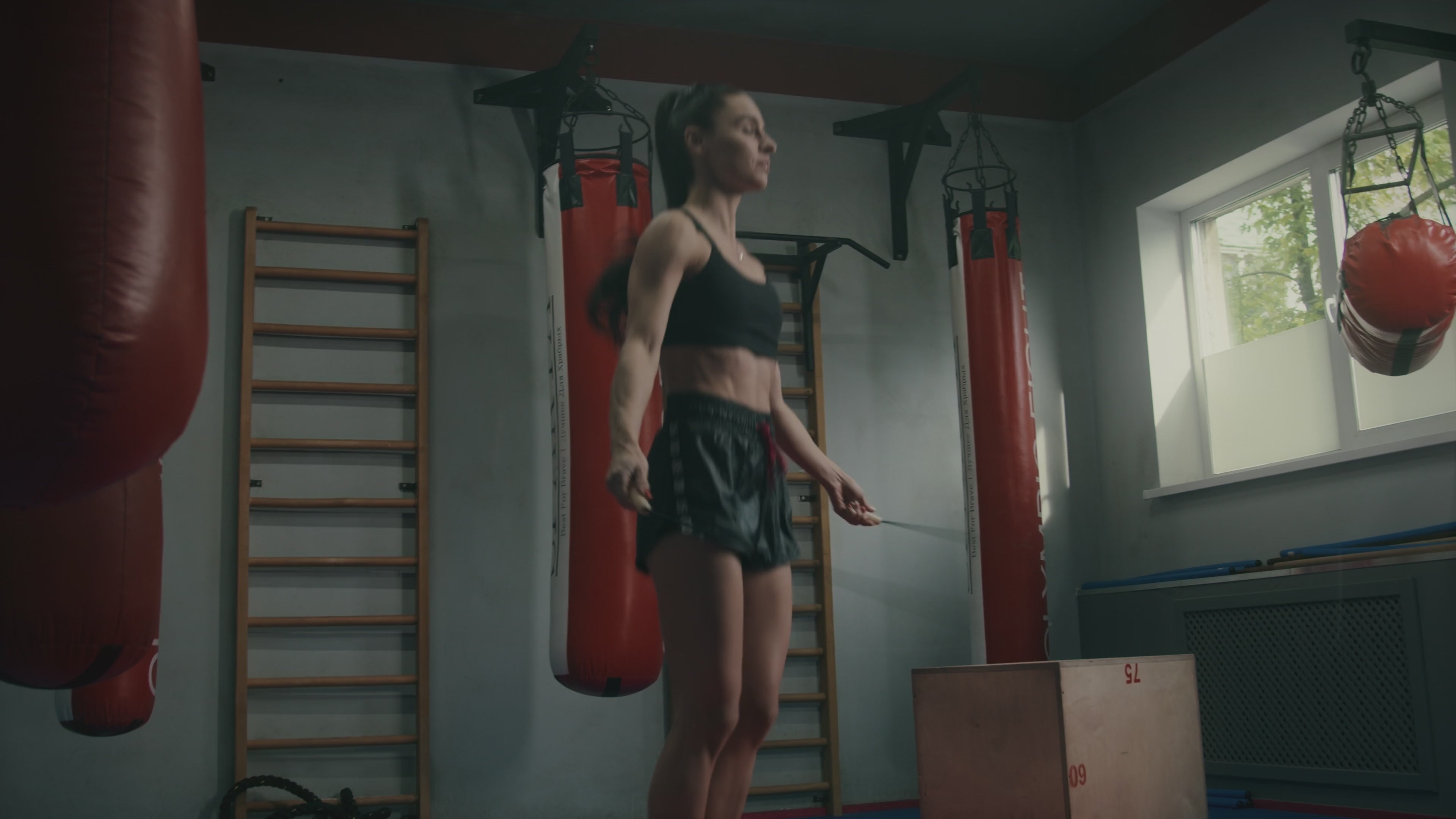 Charger la vidéo : 